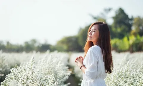 8 chữ người xưa dạy phải nhớ kỹ trong cuộc đời, nếu làm được bạn sẽ an nhiên, tự tại