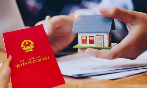 Quá hạn 3 mốc thời gian này sẽ không thể Sang Tên Sổ Đỏ, còn bị phạt tiền tới 20 triệu đồng