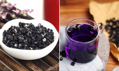 Uống trà hắc kỷ tử (kỷ tử đen) mỗi ngày có tác dụng gì?