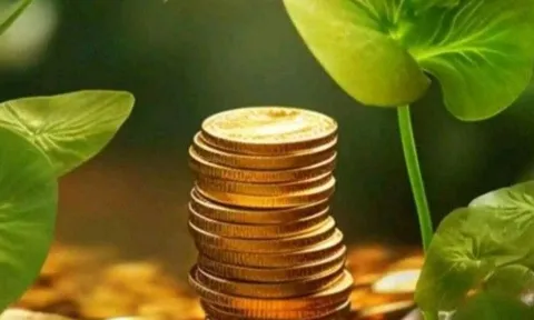 Bạn có phải là người Hấp dẫn tiền bạc không? 3 đặc điểm vàng khiến Giàu có tự tìm tới, bạn có không?
