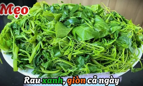 Mẹo luộc rau xanh mướt, chẳng lo mất dinh dưỡng