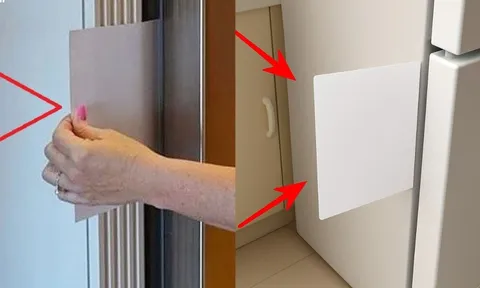 Đặt một tờ giấy A4 vào khe tủ lạnh, công dụng bất ngờ