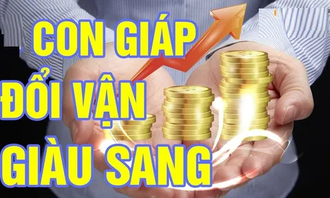 Lộc Lá Về Muộn sau tuổi 40, 3 con giáp Tiền Đẻ Ra Tiền, dư dả ăn tiêu