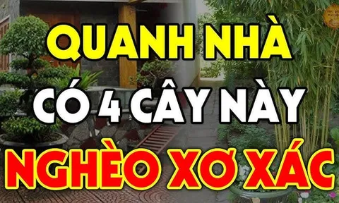 4 cây âm chặn cửa tài lộc