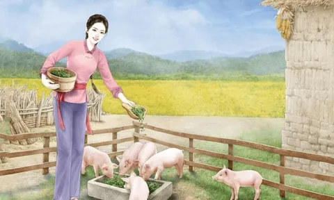 Các cụ nói: "Mua lợn xem chuồng, cưới vợ xem sân", ý nghĩa là gì?