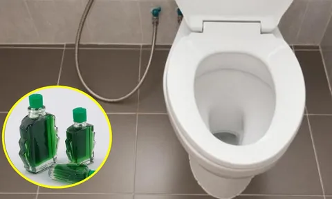 Tại sao nên nhỏ vài giọt dầu gió vào bồn cầu? Có lợi ích tuyệt vời mà nhiều người không biết