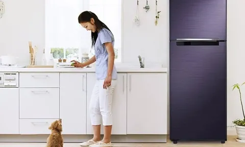 Tuyệt đối tránh để 3 vật này trên nóc tủ lạnh, kẻo của cải trong nhà “đội nón ra đi”