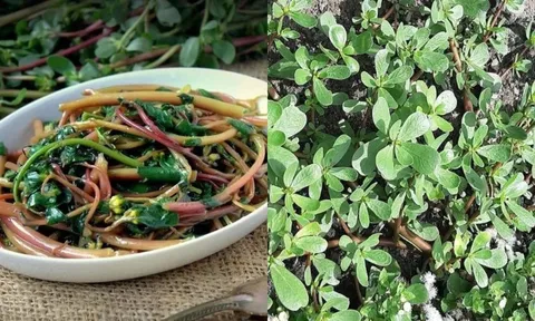 Loại rau mọc dại cho không ai lấy, giờ được săn lùng quý như 'thần dược' của sức khỏe