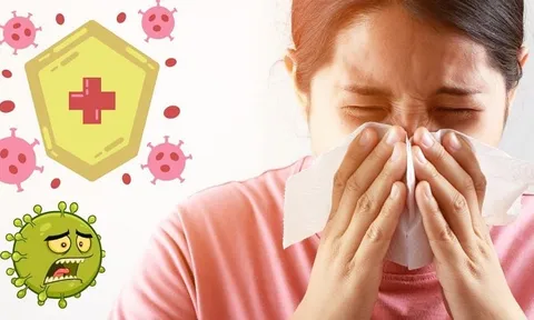 Nếu hệ miễn dịch của bạn đang suy giảm, sẽ có 5 triệu chứng này xảy ra