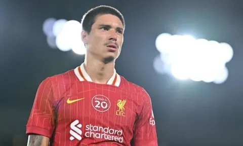 Liverpool đàm phán bán Darwin Nunez cho Al Hilal ở hè 2025