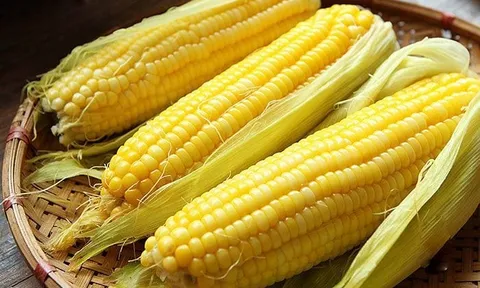 Cách luộc ngô ngon ngọt