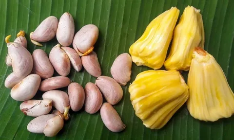 Hạt mít giàu dinh dưỡng: Ăn hạt mít, cơ thể nhận được 3 lợi ích tuyệt vời