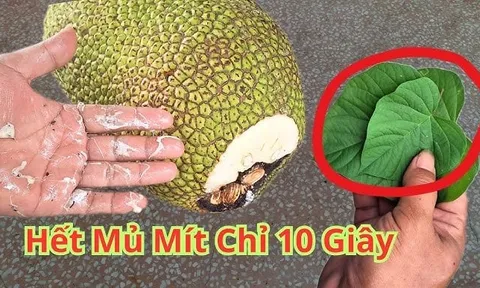 Bổ mít cứ lấy sẵn thứ này ngoài vườn, chẳng phải lo dính nhựa