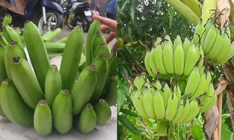 Những lưu ý chọn chuối thắp hương để hợp phong thủy, rước may mắn, tránh xui xẻo