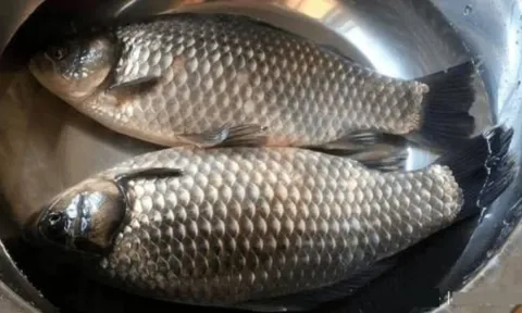 Thịt lợn chớ mua thịt cổ, cá đừng chọn cá diếc" – Lời dạy xưa hé lộ bí quyết mua thực phẩm chuẩn