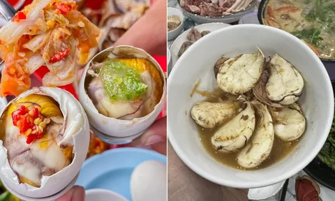 Ăn trứng vịt lộn nhiều nhưng ít người biết: 'Cùi dừa' trong trứng vịt lộn là bộ phận gì?