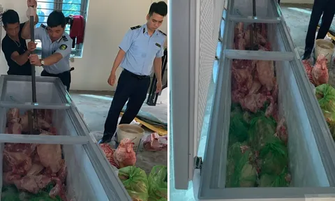 Phát hiện đường dây thu mua hơn 1,6 tấn lợn nhiễm dịch tả lợn châu Phi để bán ra thị trường kiếm lời