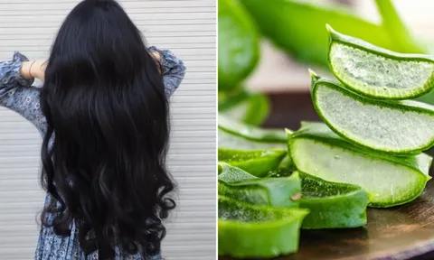 5 cách dùng nha đam cho tóc yếu, gãy rụng, giúp tóc con mọc ầm ầm