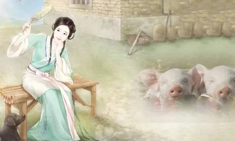 Tổ Tiên dặn: “Mua lợn xem chuồng, cưới vợ xem nhà”, con cháu nghe theo 3 đời vẫn phất