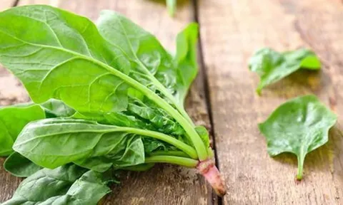 Loại rau "huyền thoại" này, nghe thôi đã thấy khỏe, ăn vào không những khỏe mà còn tốt cho gan, thận