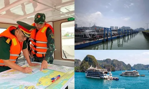 Sau vụ Lật tàu Vịnh Xanh 58 ở Hạ Long, tăng cường tuần tra 24/24 và lắp thiết bị định vị