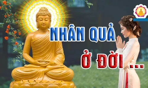 3 dấu hiệu của người đang phải trả nghiệp, Hạn đến - Phúc đi, làm gì cũng khó