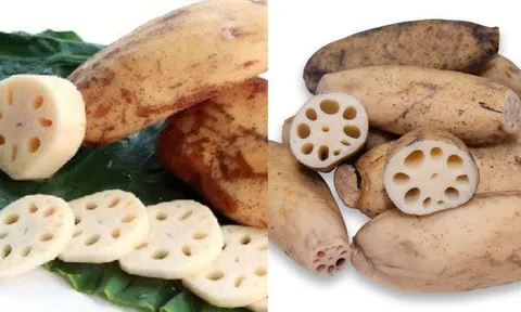 Củ sen 7 lỗ và 9 lỗ khác nhau thế nào?  Rất ít người để ý điều này