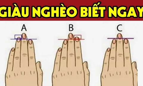 Nhìn tướng tay 3 giây biết tương lai bạn thành Phượng Hoàng giàu có hay nô tì mãi mãi: Chuẩn hơn nhìn mặt