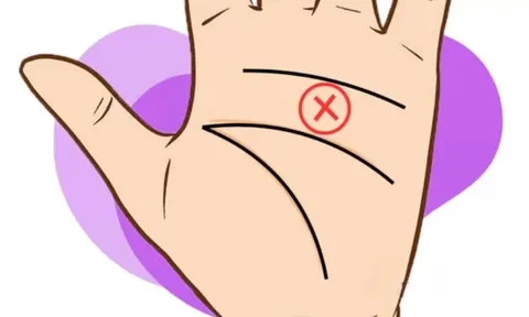 Xem 5 đường chỉ tay cho thấy sự may mắn, giàu sang và công danh sự nghiệp đều tốt