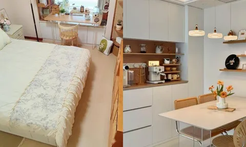 45 món đồ khiến nhà bừa bộn, vận may 'bỏ chạy': Hãy vứt bỏ để hút tài lộc và năng lượng tích cực