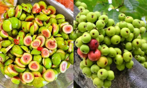 Loại quả mọc đầy vườn mọi người thường bỏ qua hóa ra là 'thần dược': 6 lợi ích lớn nếu ăn mỗi ngày