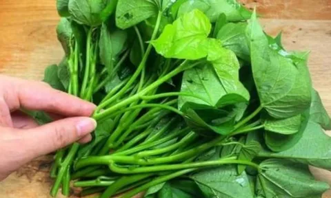 Loại “rau từng cho lợn ăn” biến thành siêu thực phẩm, Mỹ thu mua 1 triệu/kg