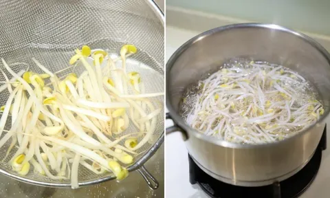 Uống nước giá đỗ luộc, cơ thể nhận được 6 lợi ích tuyệt vời