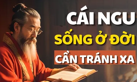 Đời người có 4 cái ngu: Bàn về cái ngu lớn nhất, bạn có mắc không?