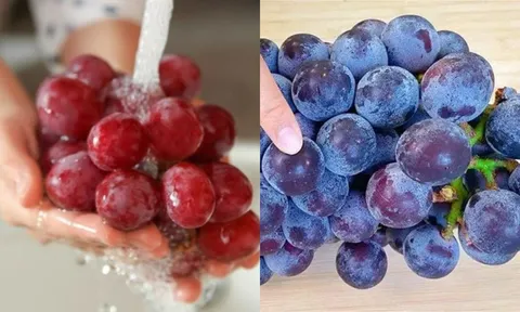 Bí quyết rửa nho khiến trứng sâu tự rời, sạch dư lượng thuốc trừ sâu, ăn thoải mái