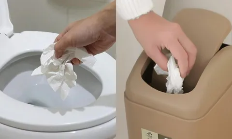 Giấy vệ sinh: Bỏ thùng rác hay xả bồn cầu – Chuyên gia chỉ ra thói quen nhiều người đang làm sai