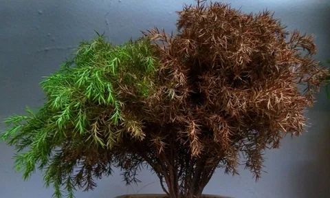 Tổ tiên báo mộng: 3 dấu hiệu xuất hiện trong nhà chẳng phải điềm lành, xem lại ngay kẻo hao tài tổn lộc