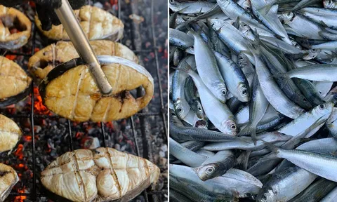 4 loại cá vừa giàu omega-3 vừa nhiều canxi, giá rẻ hơn cá hồi