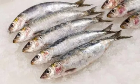 Loại cá tốt nhất thế giới, ở Việt Nam bán rẻ bất ngờ chỉ vài chục nghìn/kg