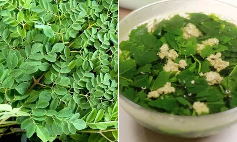 Loại rau có lượng canxi cao gấp 4 lần sữa, thường bị nhầm với rau ngót: Đem nấu canh vừa ngon vừa bổ