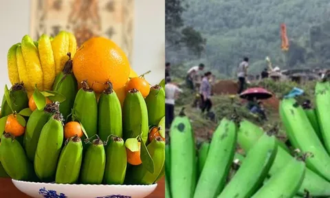 Tháng 7 âm lịch, tảo mộ người thân tránh mang chuối ra thắp hương, người xưa đã dặn, vì sao lại thế?