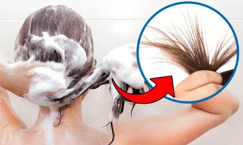 7 sai lầm phổ biến khi gội đầu mà nhiều người thường mắc phải