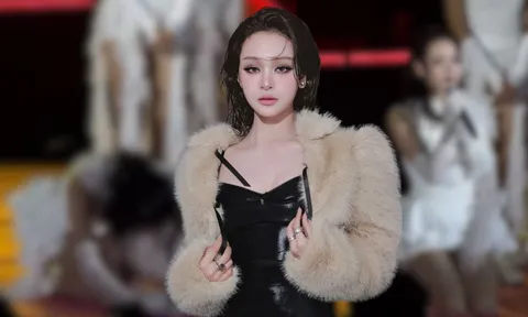 Hiền Hồ quỳ gối, cúi đầu xin lỗi khán giả