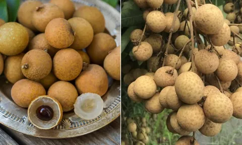 Mẹo bảo quản nhãn, để cả tuần vẫn tươi ngon, mọng nước như vừa hái