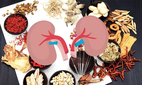 Thuốc bổ thận không phải cứ dùng là tốt, cẩn thận hại còn hơn lợi