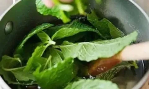 5 cách diệt chuột an toàn, hiệu quả và tiết kiệm – đơn giản ai cũng làm được