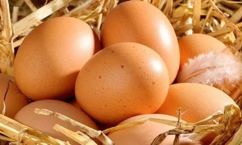 5 thời điểm ăn trứng vào sẽ thấy Hại hơn Lợi