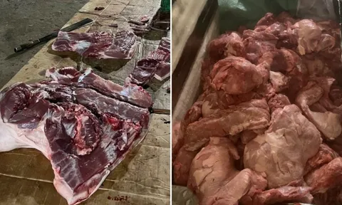 Đi chợ mua thịt lợn thấy 4 dấu này, cẩn thận đó là thịt nhiễm dịch tả lợn châu Phi