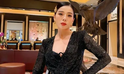 Lệ Quyên đáp trả khi được khuyên 'giàu có nên làm từ thiện'