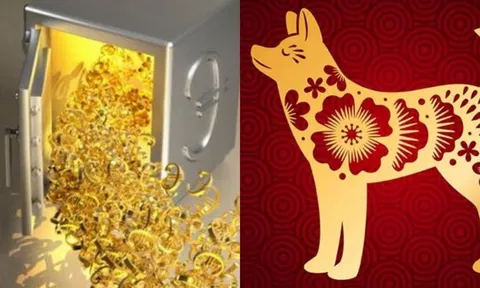 4 năm tới, 3 con giáp tái sinh: Tiền nhiều đến mức ví không kéo nổi khóa, tổ tiên cũng phải 'cười nở hoa'